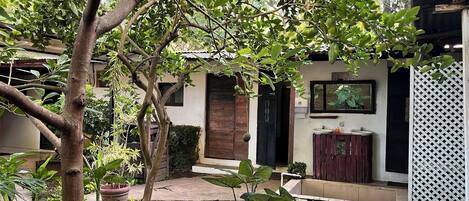 A house with a wooden door, a window, and a small garden with potted plants.