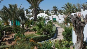 A garden with palm trees, a winding path, and white buildings with green doors. - Sangho Club Zarzis (Zarzis)