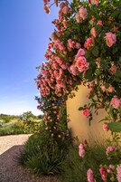 Jardín