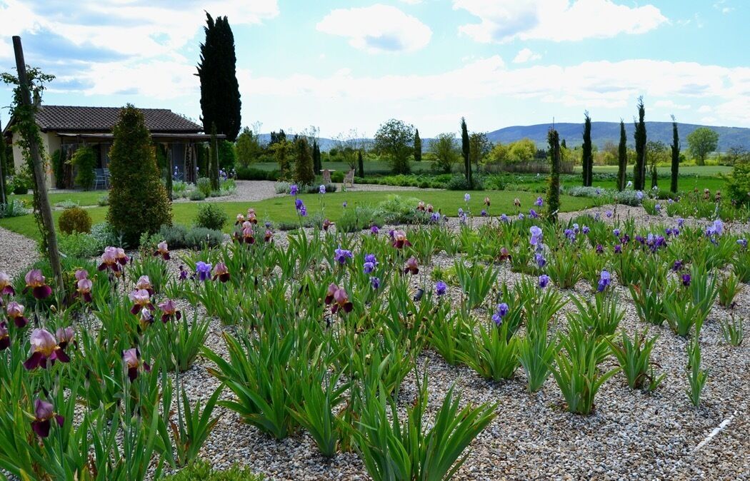 Un jardin avec différentes plantes et fleurs, un bâtiment doté d’un toit en tuiles et, au loin, un paysage montagneux.
