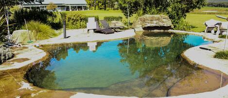 Piscine extérieure, piscine naturelle, chaises longues