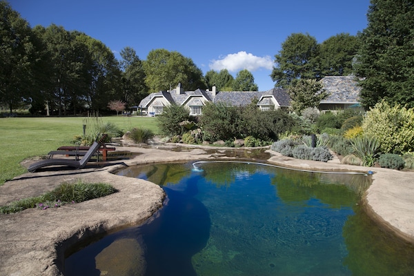 Outdoor pool, a natural pool, pool loungers