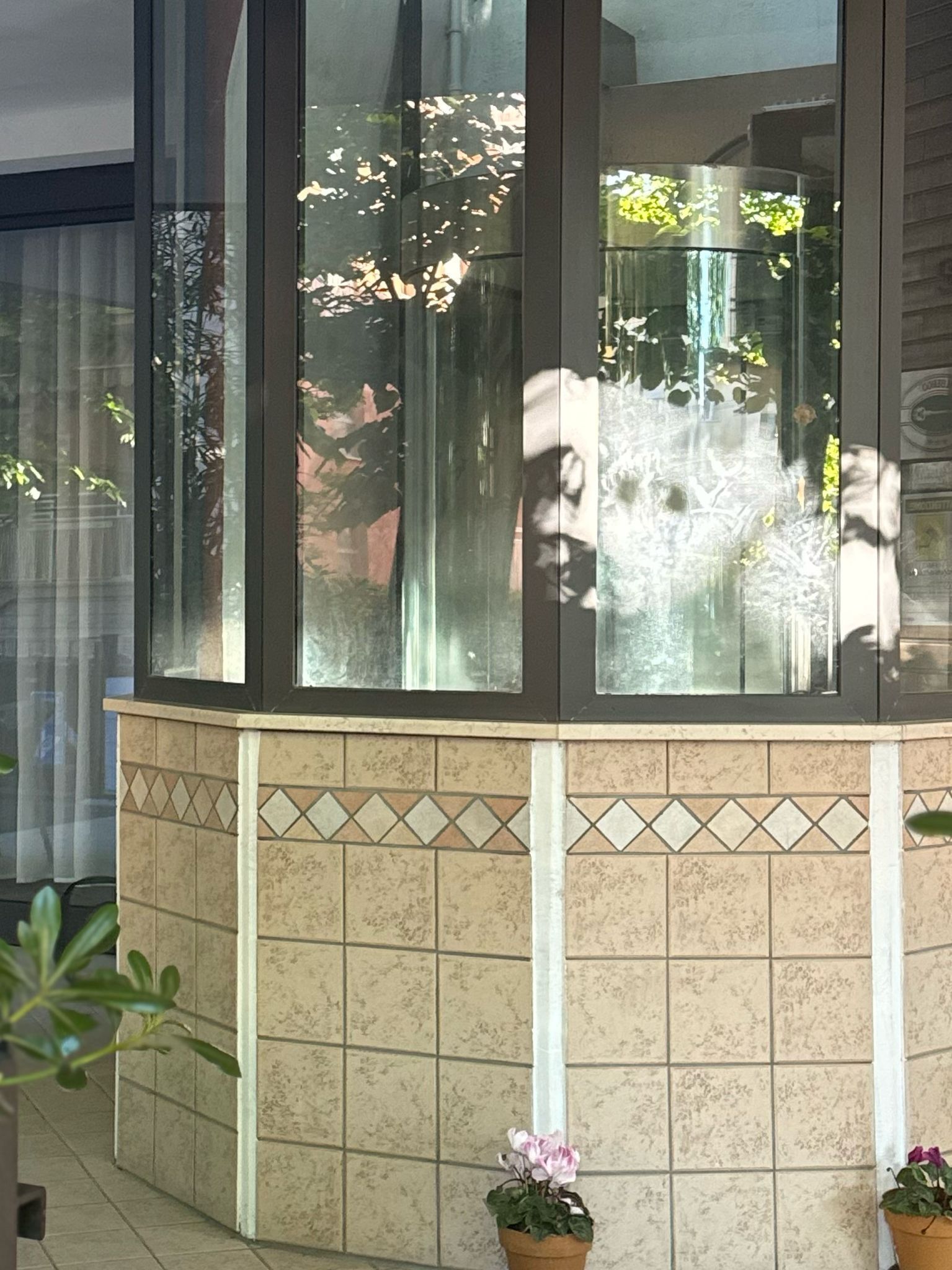 A corner of a building with a tiled wall and a glass window reflecting trees and a building. There are two potted plants in front of the window.