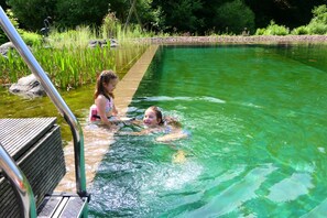 Seasonal outdoor pool, pool umbrellas, sun loungers - Hotel Christel (Heimbuchenthal)