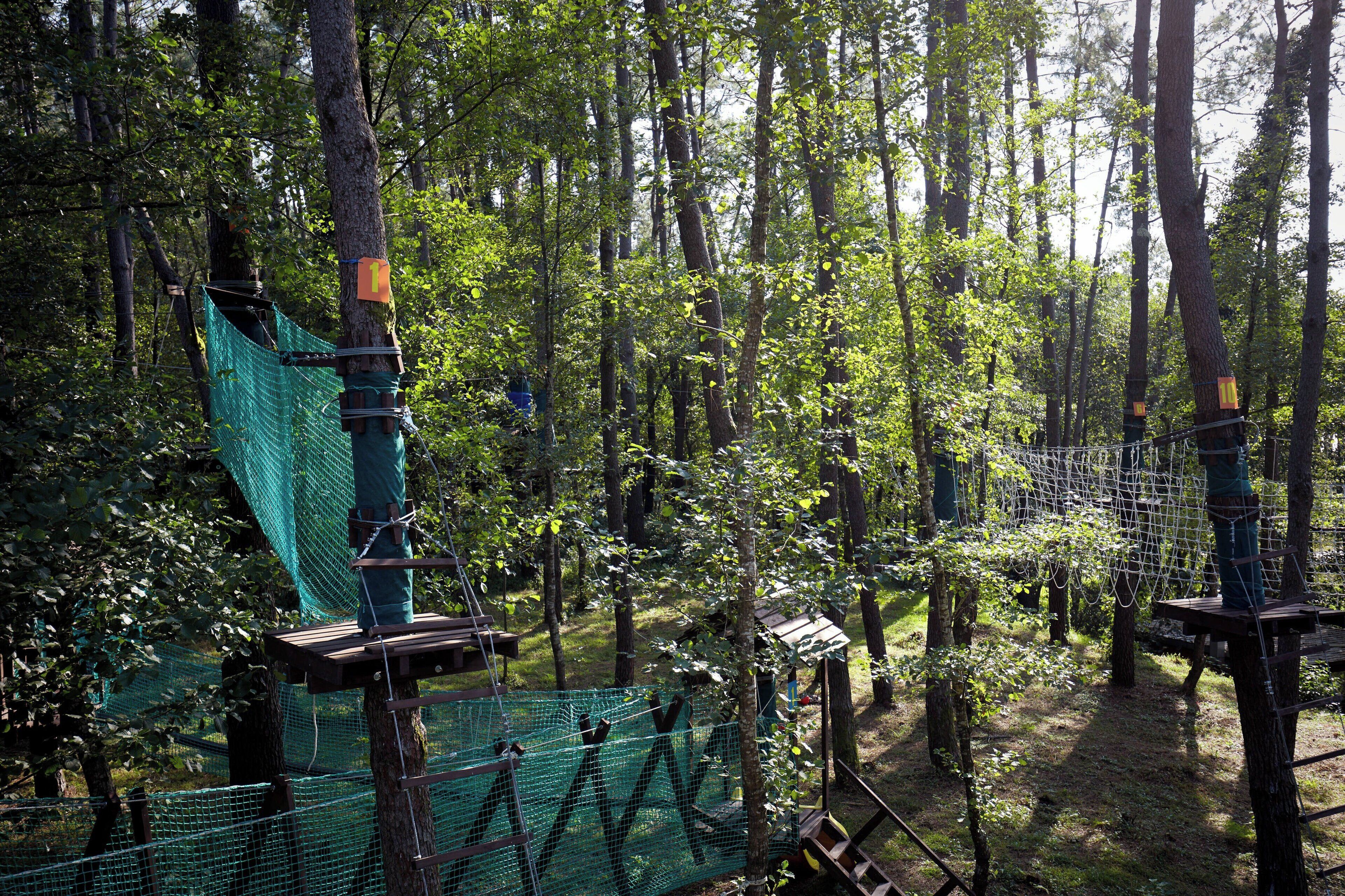 A forested area with rope bridges and wooden platforms.