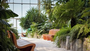 An indoor garden with seating areas, surrounded by lush greenery and a view of the ocean. - Autograph Collection Paragraph Resort & Spa Shekvetili (Shekhvetili)