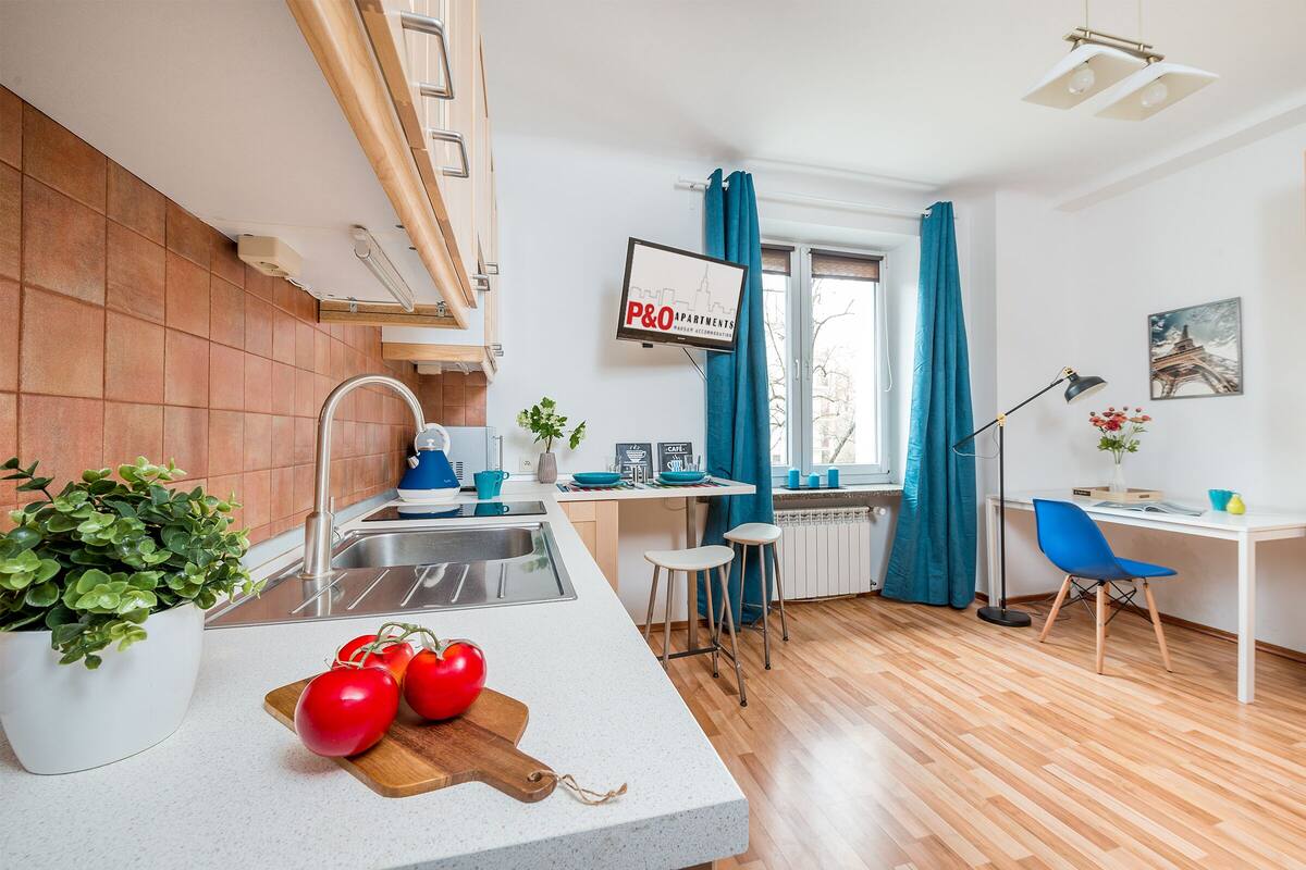 A modern kitchen with a sink, countertop, and a potted plant.
