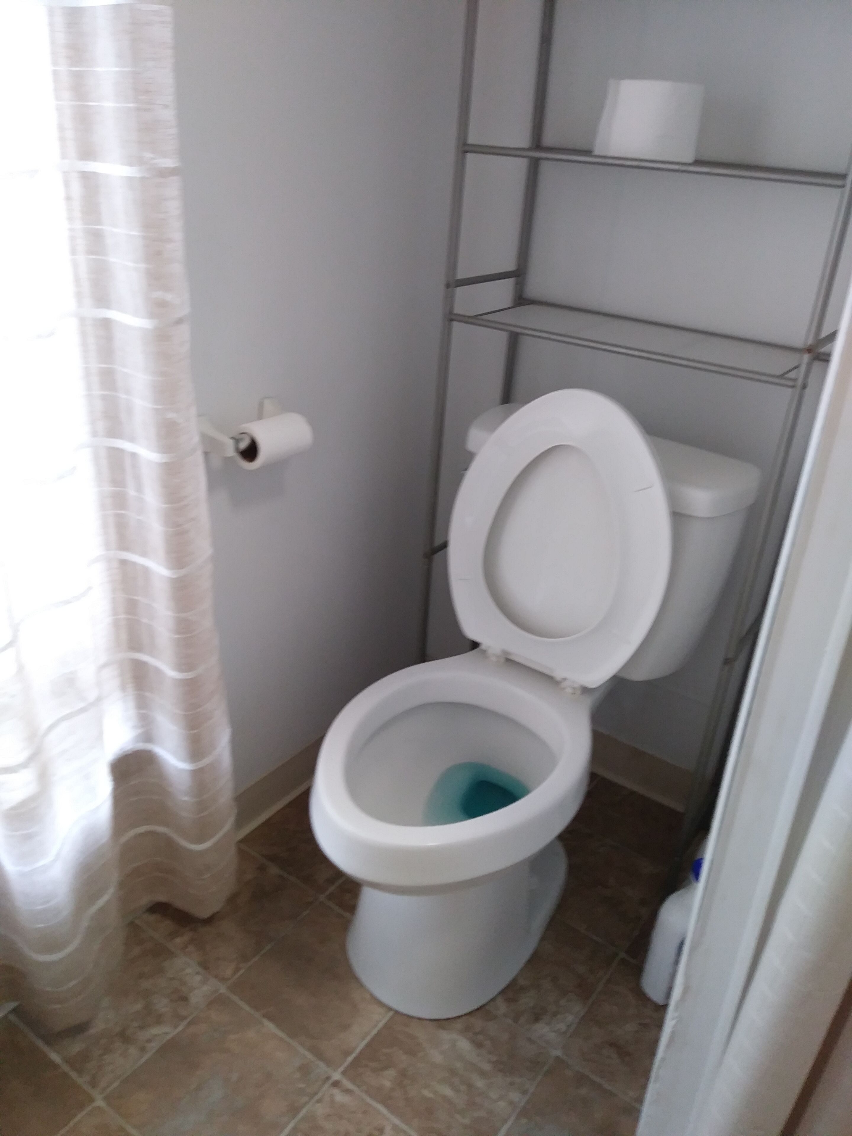 A small bathroom with a toilet, a shelf with toilet paper, and a shower curtain.