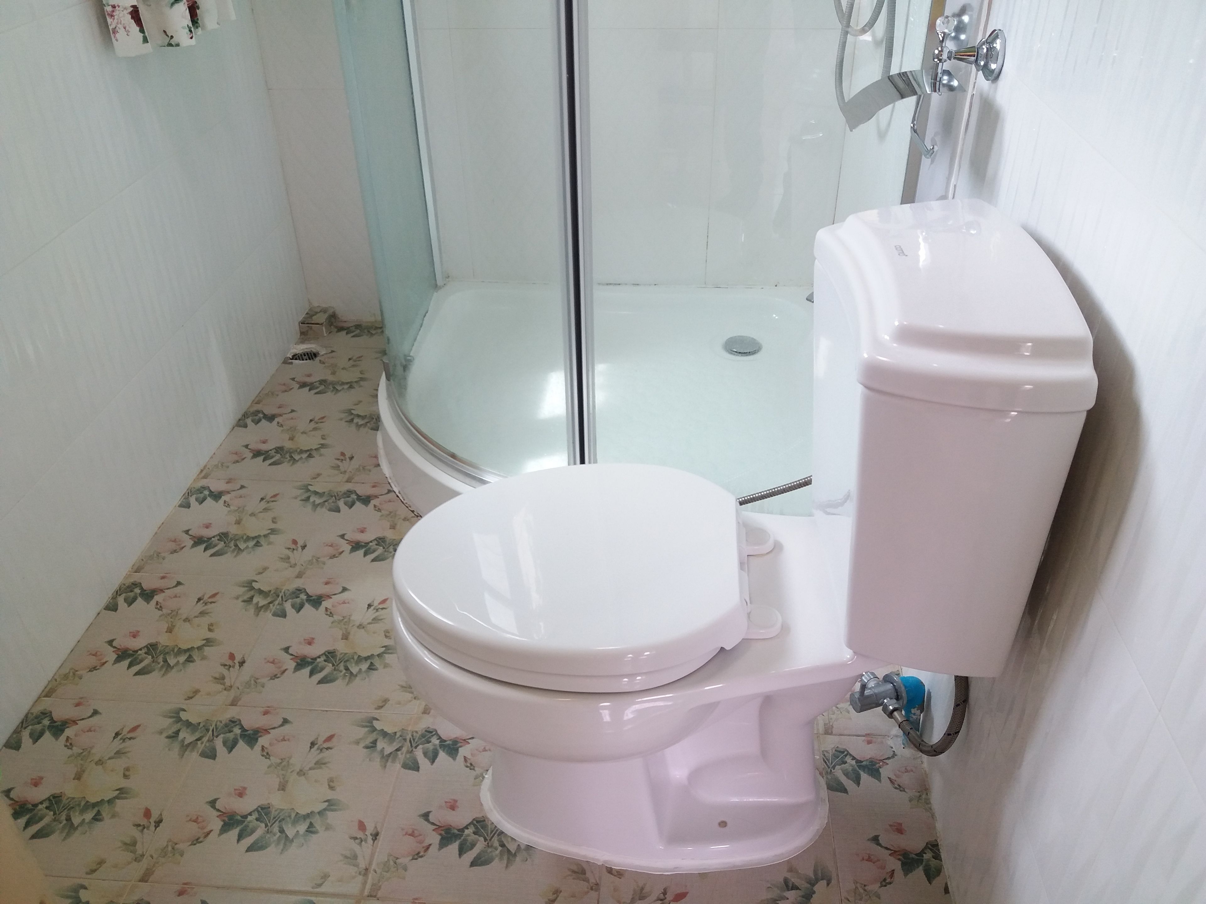 A bathroom with a toilet, a shower, and a toilet paper holder.