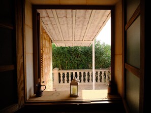 Interior - S'hort den Carrio (Ses Salines)