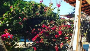 A hammock under a wooden pergola with a view of a grassy area and trees. - Hotel Pousada Caminho da Praia (Guarapari)