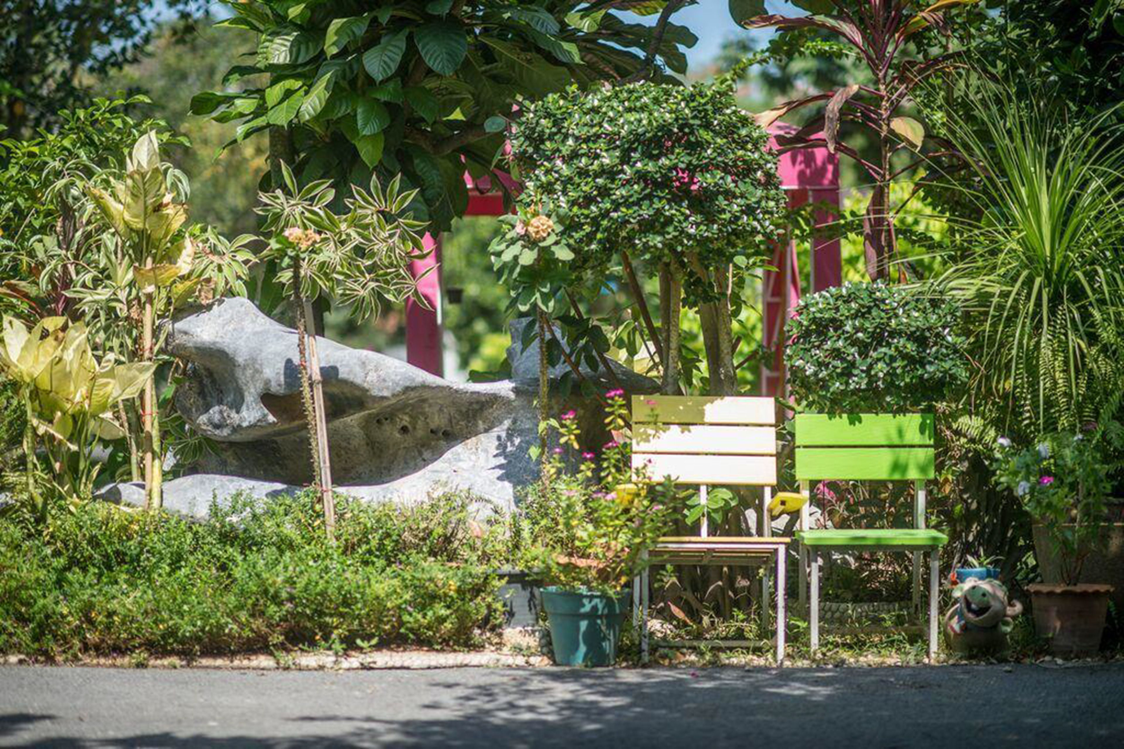 A garden with a bench, a rock, and various plants.
