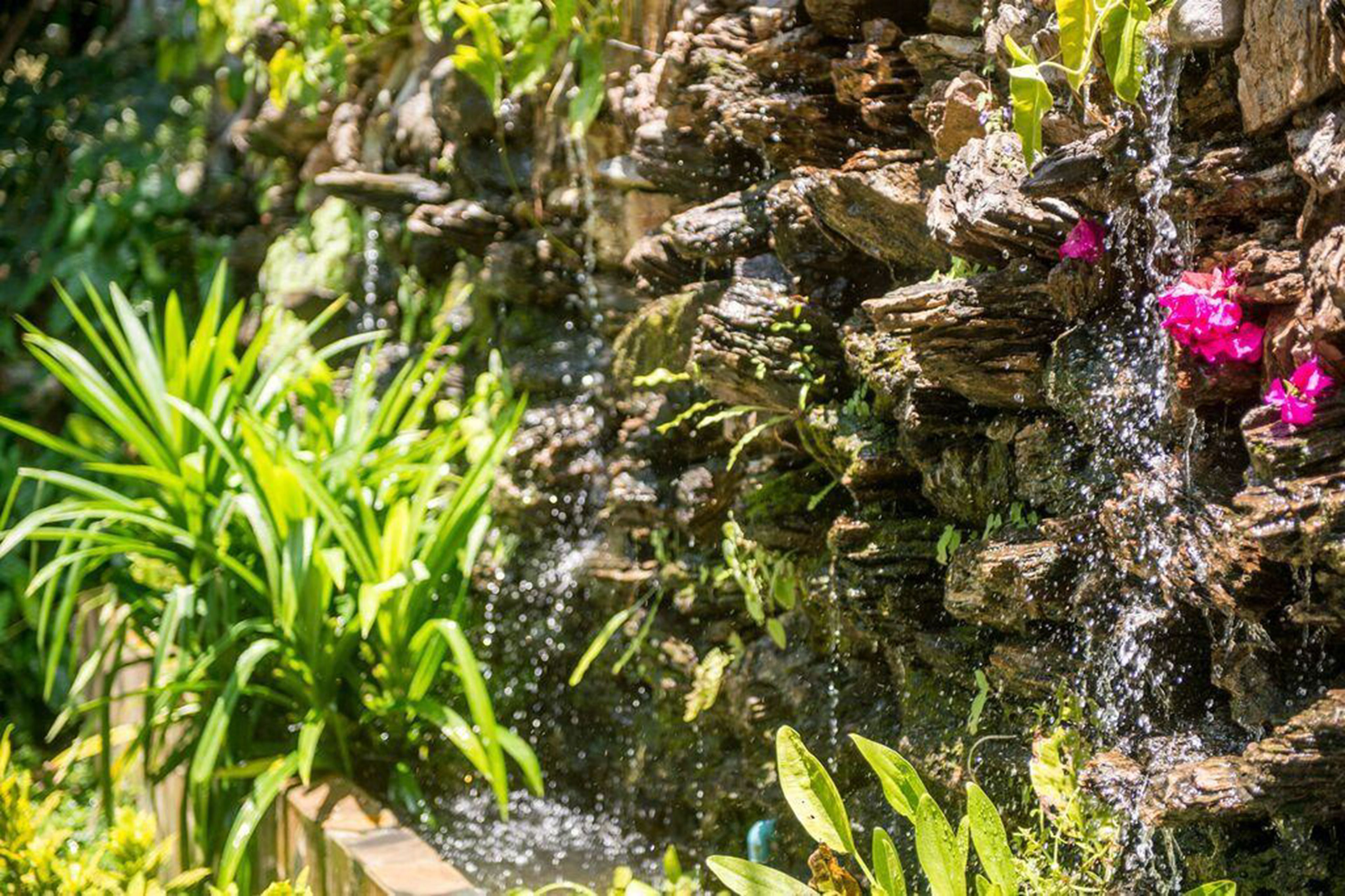 A rock waterfall with water cascading over it, surrounded by green plants and pink flowers.