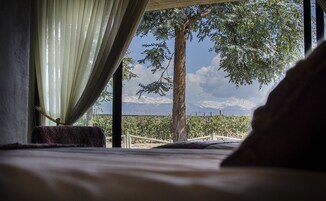 Vista desde la habitación