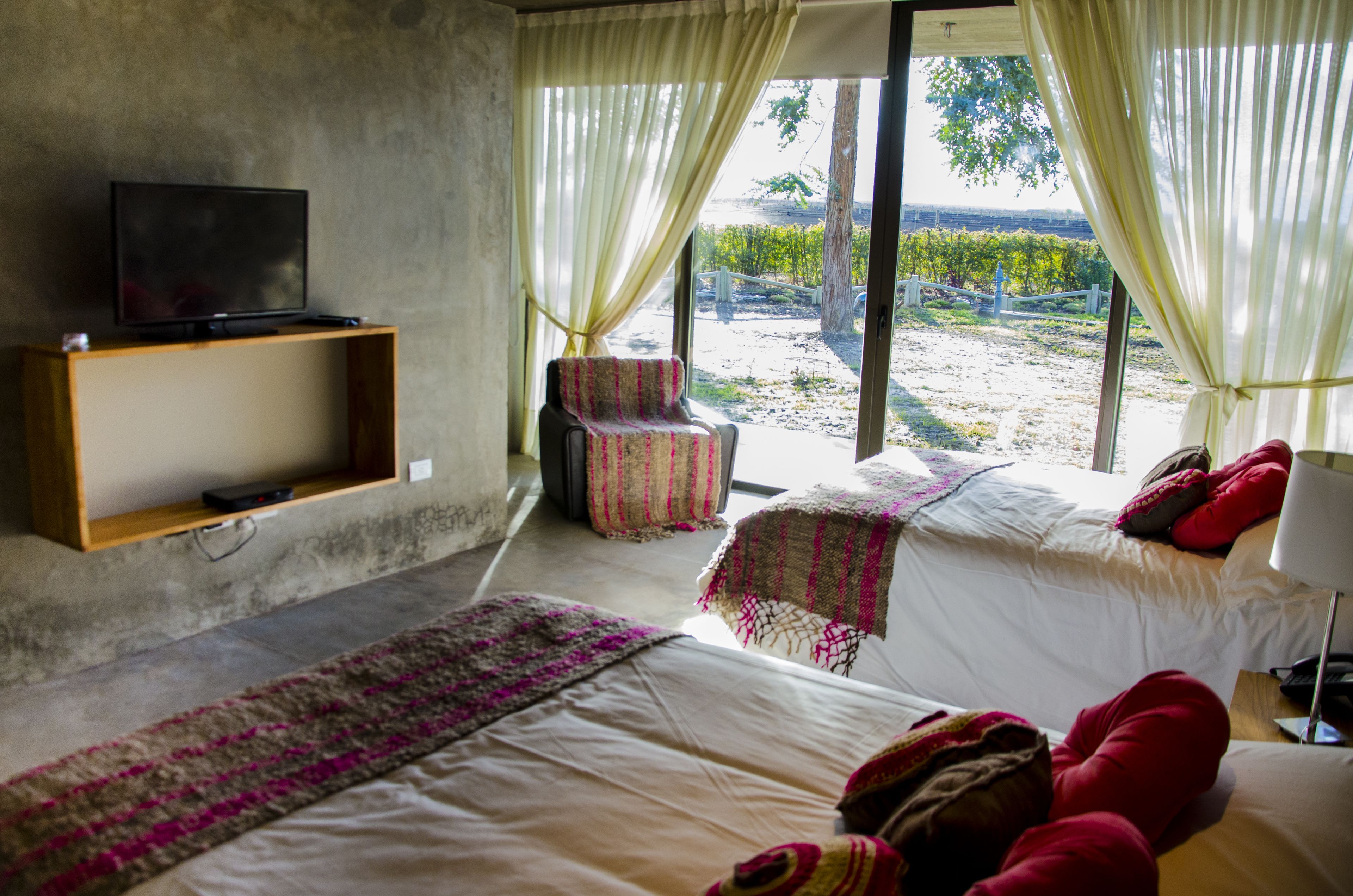 A hotel room with a TV on a shelf, a bed with a view of the vineyard, and a chair with a blanket.