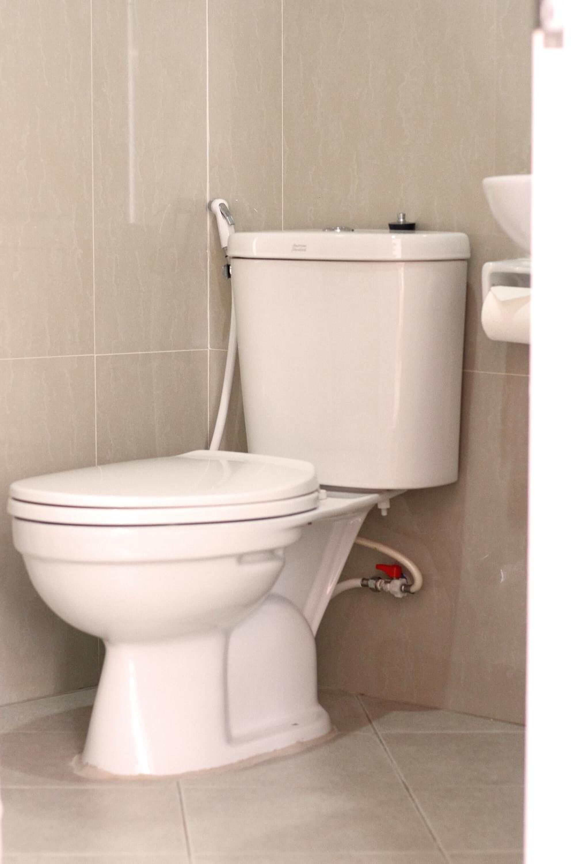 Shower, free toiletries, towels