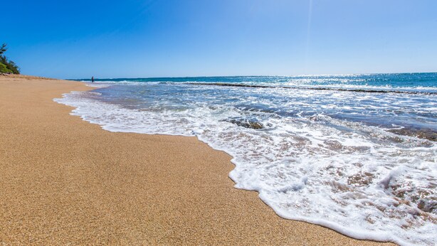 Une plage avec un ciel dégagé et des vagues calmes.