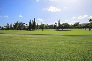 View from Lanai