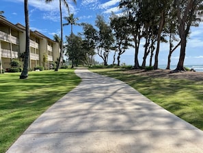 Un chemin menant à un bâtiment doté de balcons, entouré d’une pelouse bien entretenue et d’arbres.