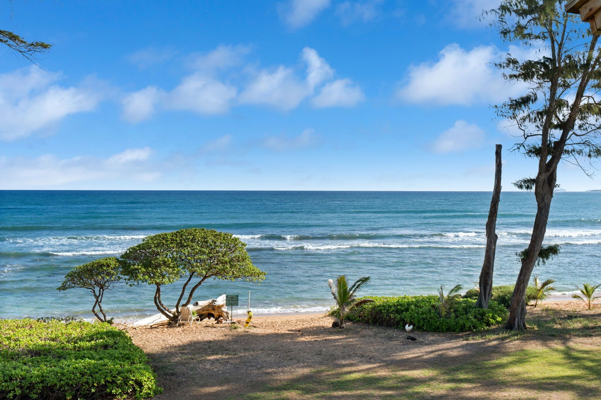 On the beach, beach umbrellas
