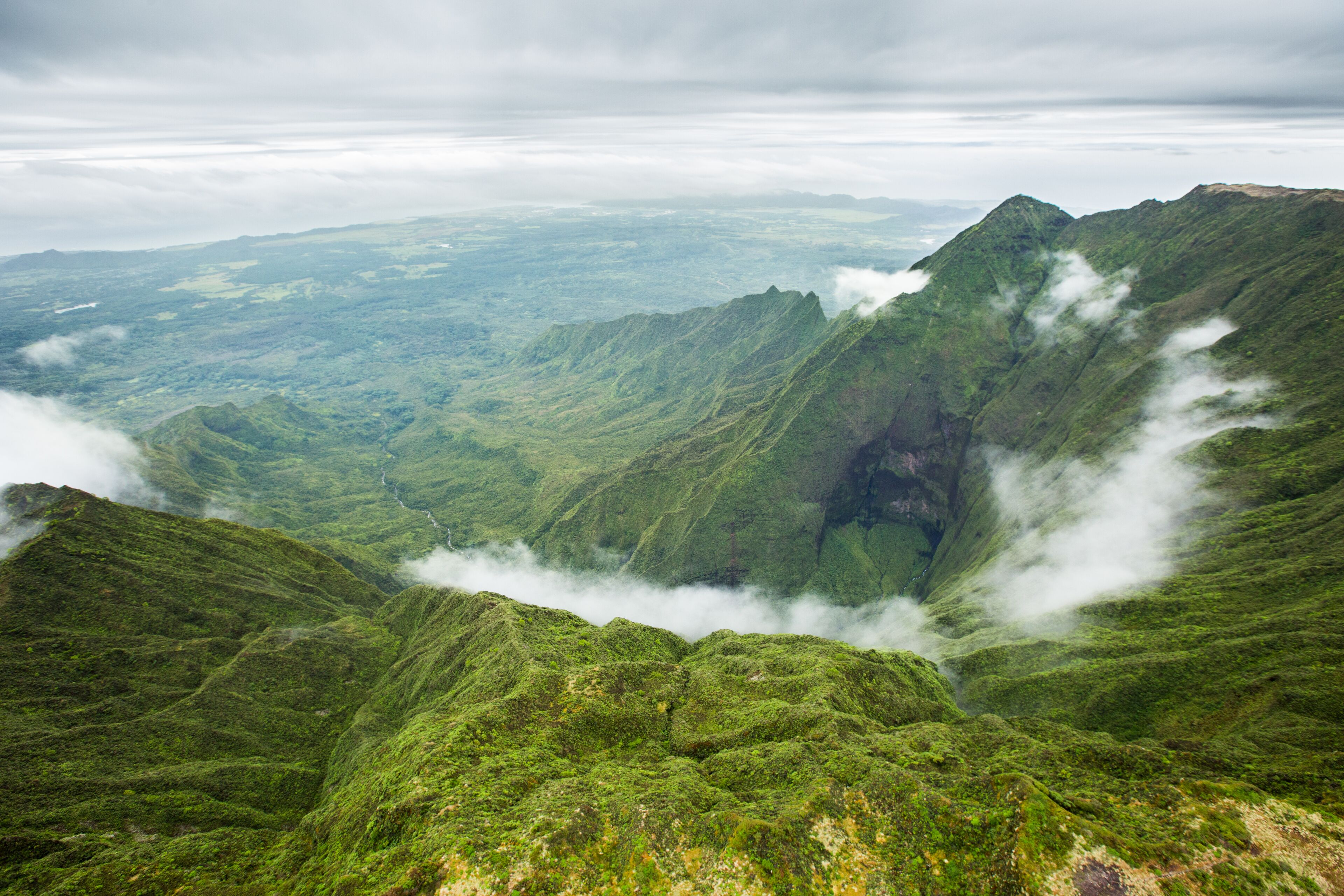 Islander #348, Oceanfront, Walk to Beach, AC, Top Floor, Free Wifi/Parking! - Photo 16