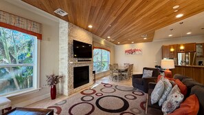 Televisio, musiikkikirjasto, stereot