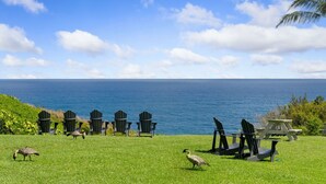 Een gazon met Adirondack-stoelen en een picknicktafel aan de oceaan.