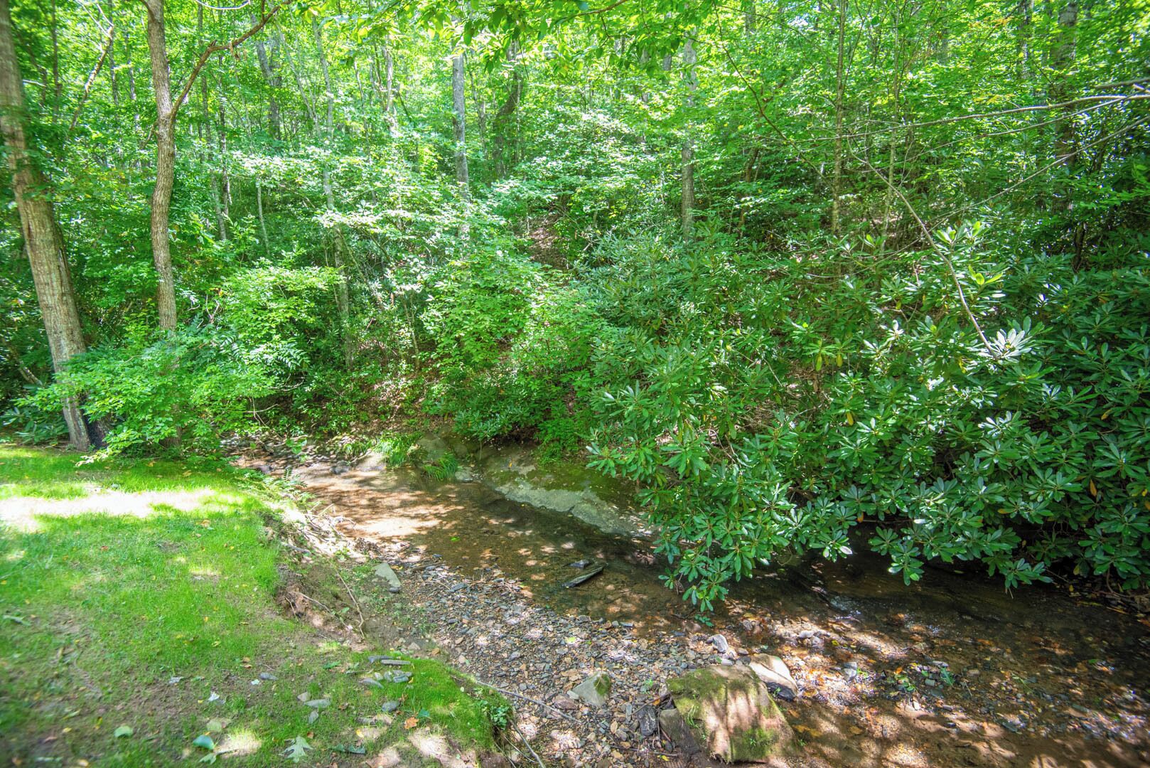 A natural forest stream surrounded by dense green foliage.