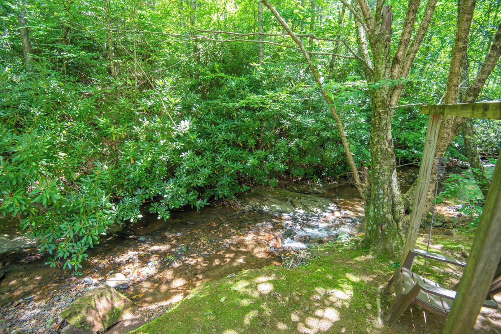 Un ruisseau naturel bordé d’une végétation luxuriante et traversé par un pont en bois.
