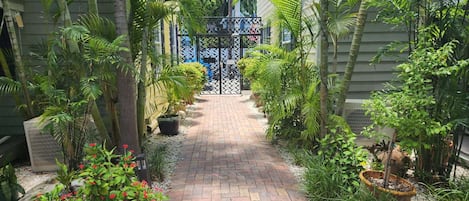 A paved pathway leading to a gated entrance, surrounded by lush greenery and potted plants.