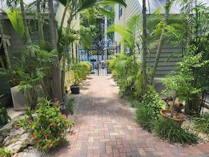 A paved pathway leading to a gated entrance, surrounded by lush greenery and potted plants.