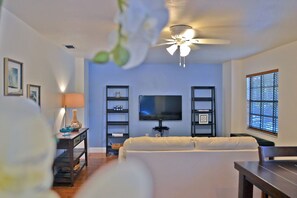TV, music library