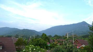 Deluxe Room | View from room