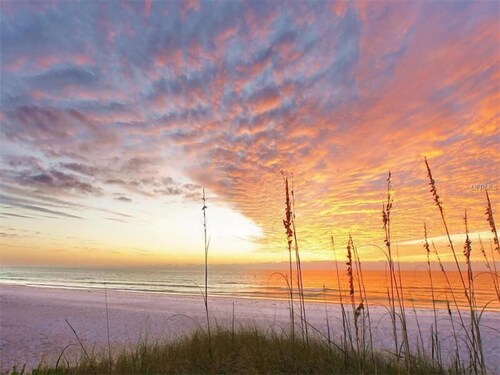 Beachside Studio Located Across from Main Beach and Half Mile to Village