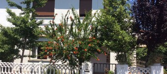 Sunny apartment in a residential area, not far from the historic center