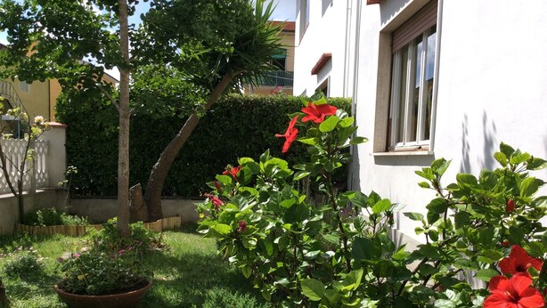A garden with potted plants and a white building with a window. - Sunny apartment in a residential area, not far from the historic center (Pisa)