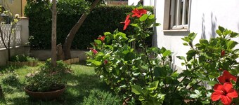Sunny apartment in a residential area, not far from the historic center
