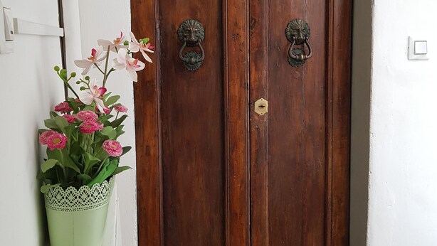 A wooden double door with ornate metal handles, a potted plant with pink flowers, and a white wall with a light switch.