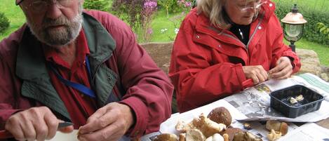 Two people sitting at a table with mushrooms and a colander.