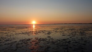 A sunset over a beach with calm waters reflecting the sky. - Garden idyll at the Wadden Sea National Park (Wesselburen)