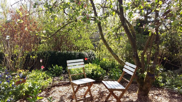 Un banc en bois dans un jardin où la végétation est luxuriante et où l’on trouve une grande variété de plantes.
