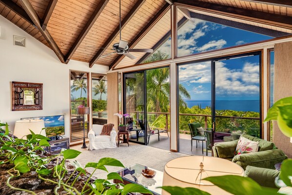 Smart TV, DVD player, books, stereo