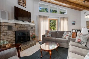 Smart TV, fireplace, DVD player, books