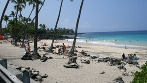 A beach with palm trees, people sunbathing, and the ocean. - Kona Bali Kai 317 Direct Oceanfront, Major Upgrade with Central Air. (Kailua Kona)