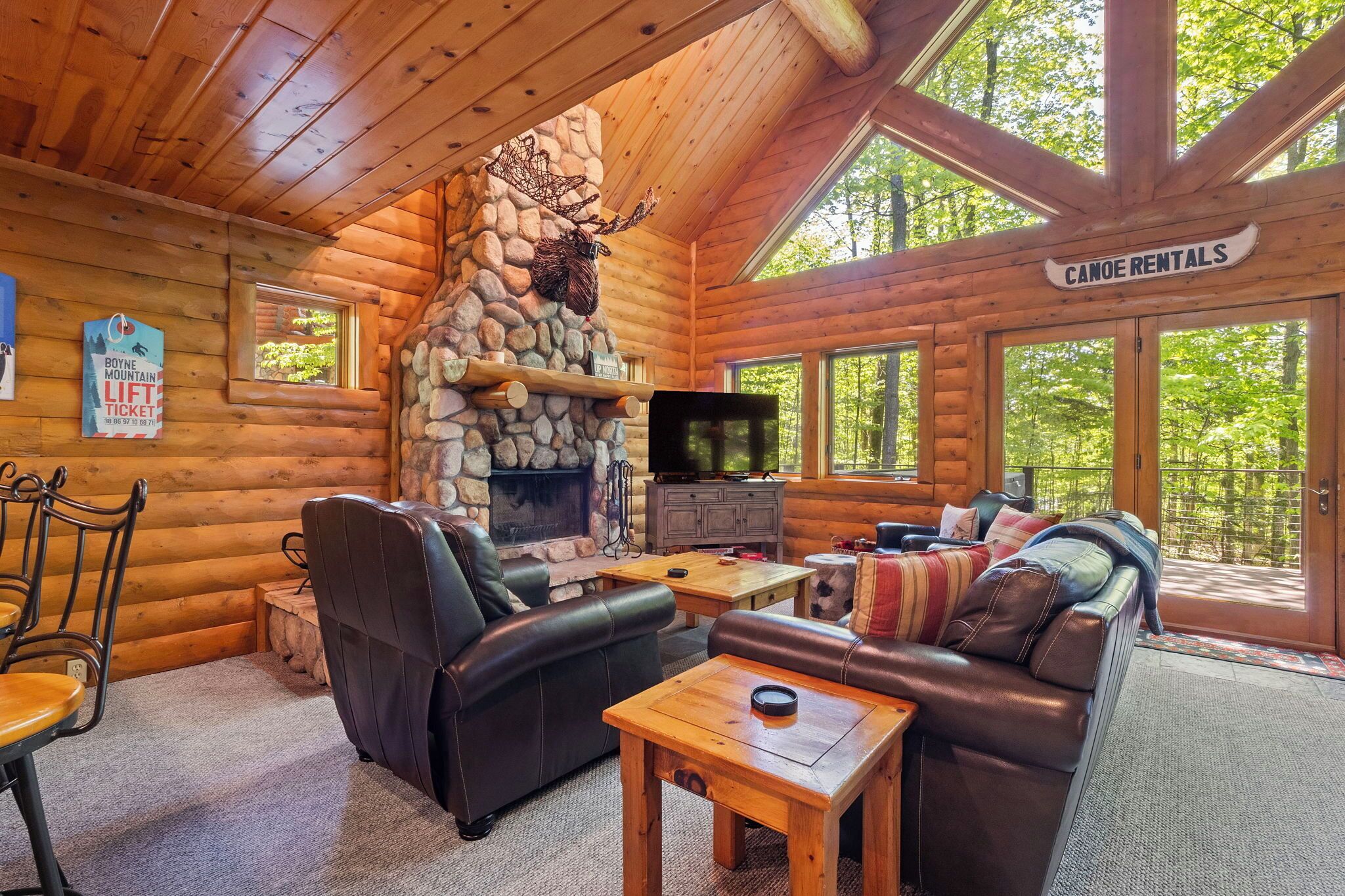 Télévision, cheminée, lecteur de DVD