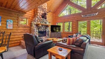 Télévision, cheminée, lecteur de DVD