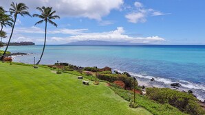 A coastal landscape with a grassy area, palm trees, and a view of the ocean.