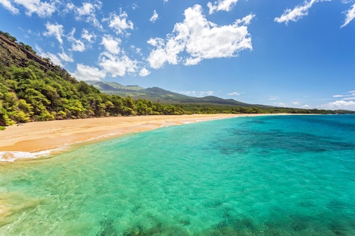 RARE 2 BEDROOM WITH NO STAIRS-OCEAN VIEWS-2 LANAI’S-METICULOUS CLEANING