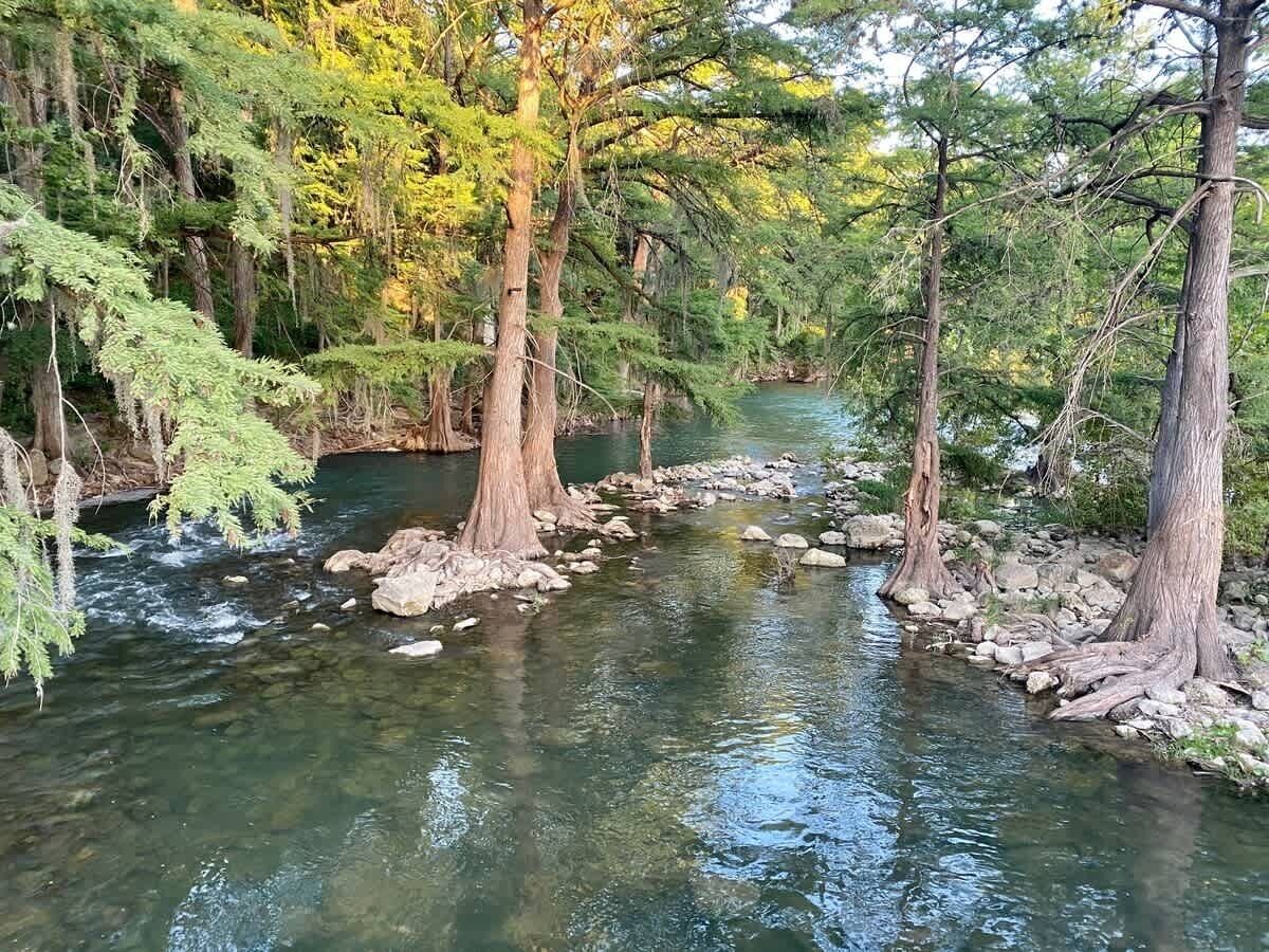 A river flowing through a forest with trees and rocks.