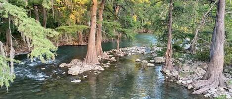A river flowing through a forest with trees and rocks.